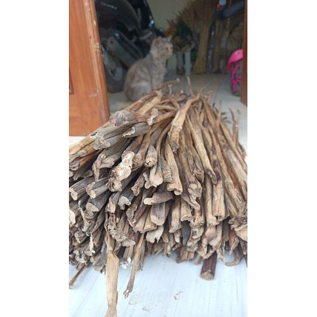 ENCENG GONDOK KERING ECERAN BAHAN KERAJINAN