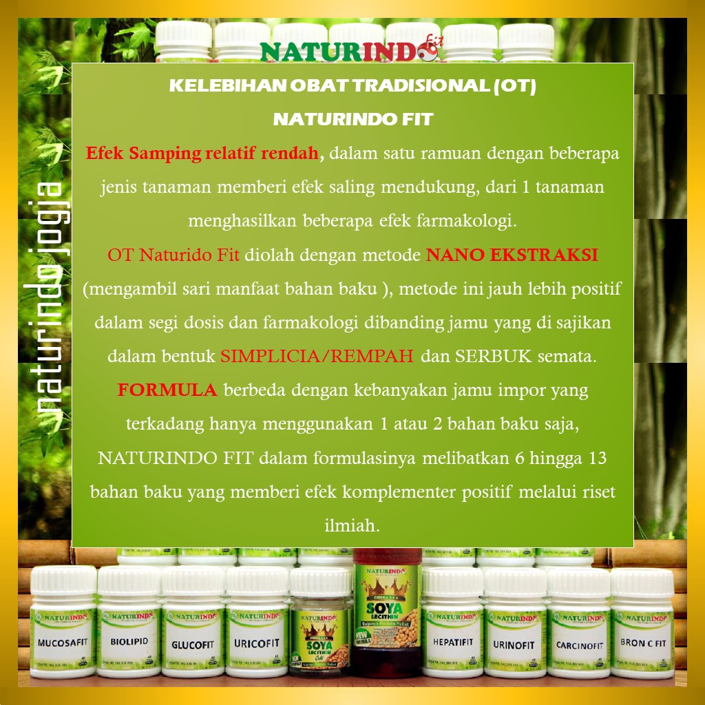 Obat Sesak Nafas Asma Bronkitits TBC Hidung Tersumbat Batuk Berdahak Herbal BRON C FIT Naturindo-3