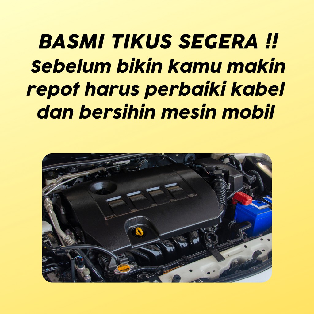 Spray Cairan pembasmi dan pengusir tikus di kap mobil dan rumah / parfum anti tikus alami &amp; ampuh - Tamoto Rat Repellent