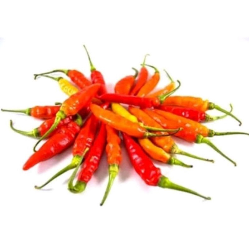 

cabe rawit merah 100 gr