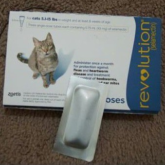 Revolution Cat 5.1-15 lbs Obat Tetes Kutu 1Tube