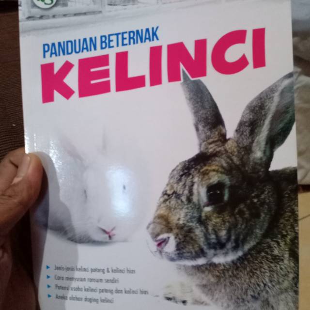 Panduan Beternak Kelinci