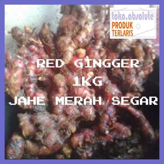 

6E64S6- Jahe Merah Segar Alami Fresh -Red Ginger 1Kg 76Rdy-