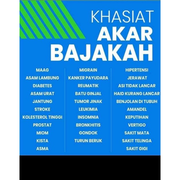 Akar Bajakah Kuning Super 1Kg Obat Herbal Diabetes, Asam Urat, Asam Lambung,Maag,Liver,Jantung-1