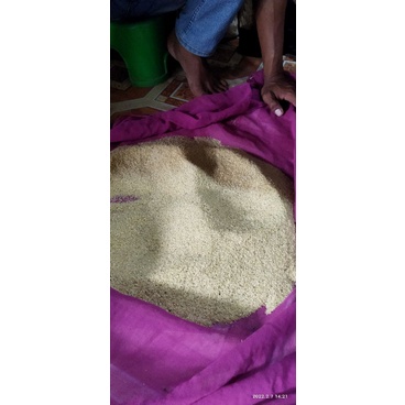 Telur jangkrik alam/cliring 3 ons