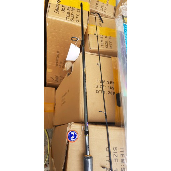 joran loomis senator 180