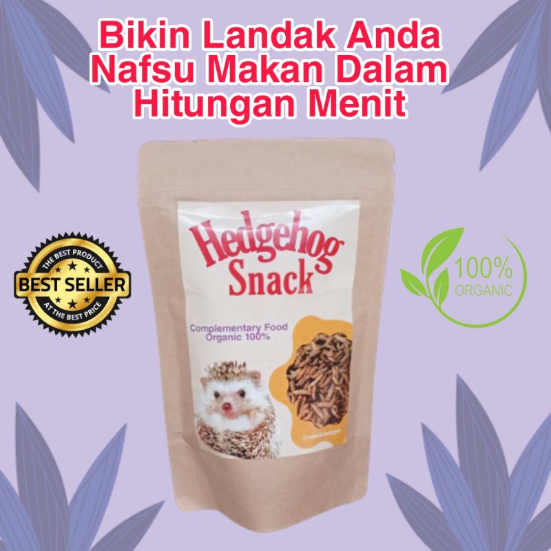 Jual Makanan Cemilan Snack Landak Mini Maggot Kering Ulat Hongkong