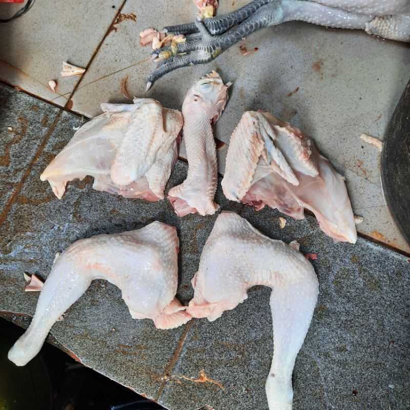 ayam jawa super