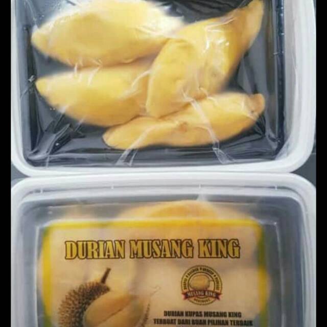 

DURIAN MUSANG KING