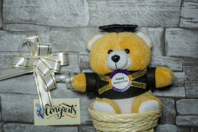 Boneka wisuda/boneka wisuda murah / hadiah wisuda/ hadiah wisuda murah/ buket boneka wisuda/ buket