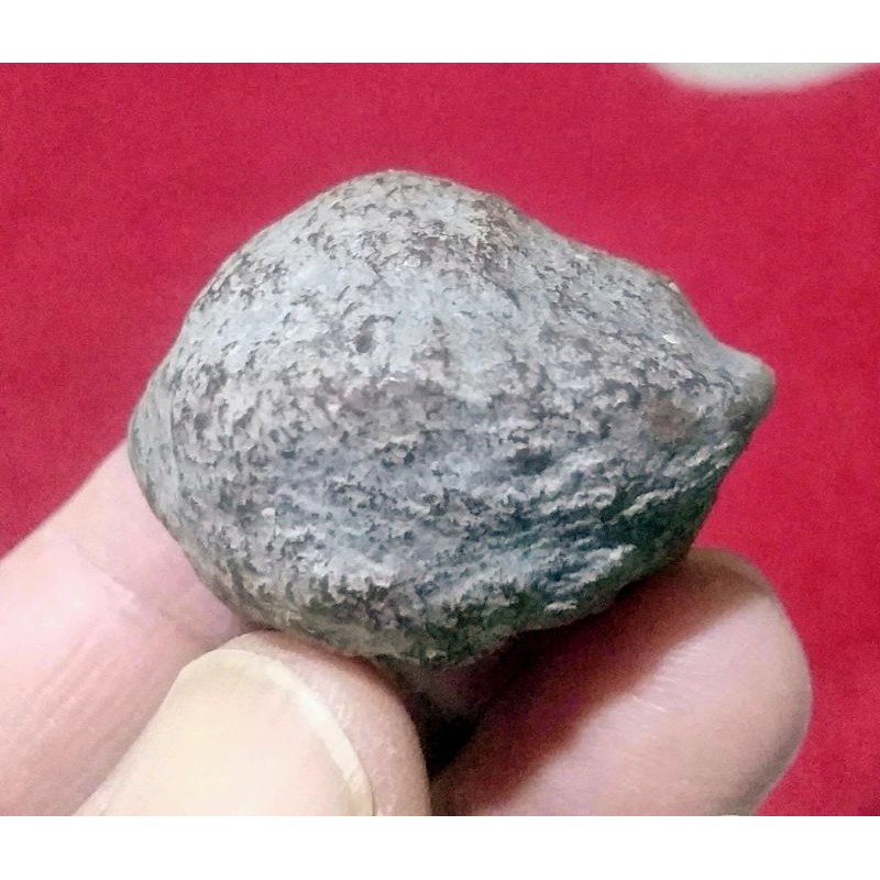 Muncang adu Yanti Raja Batok