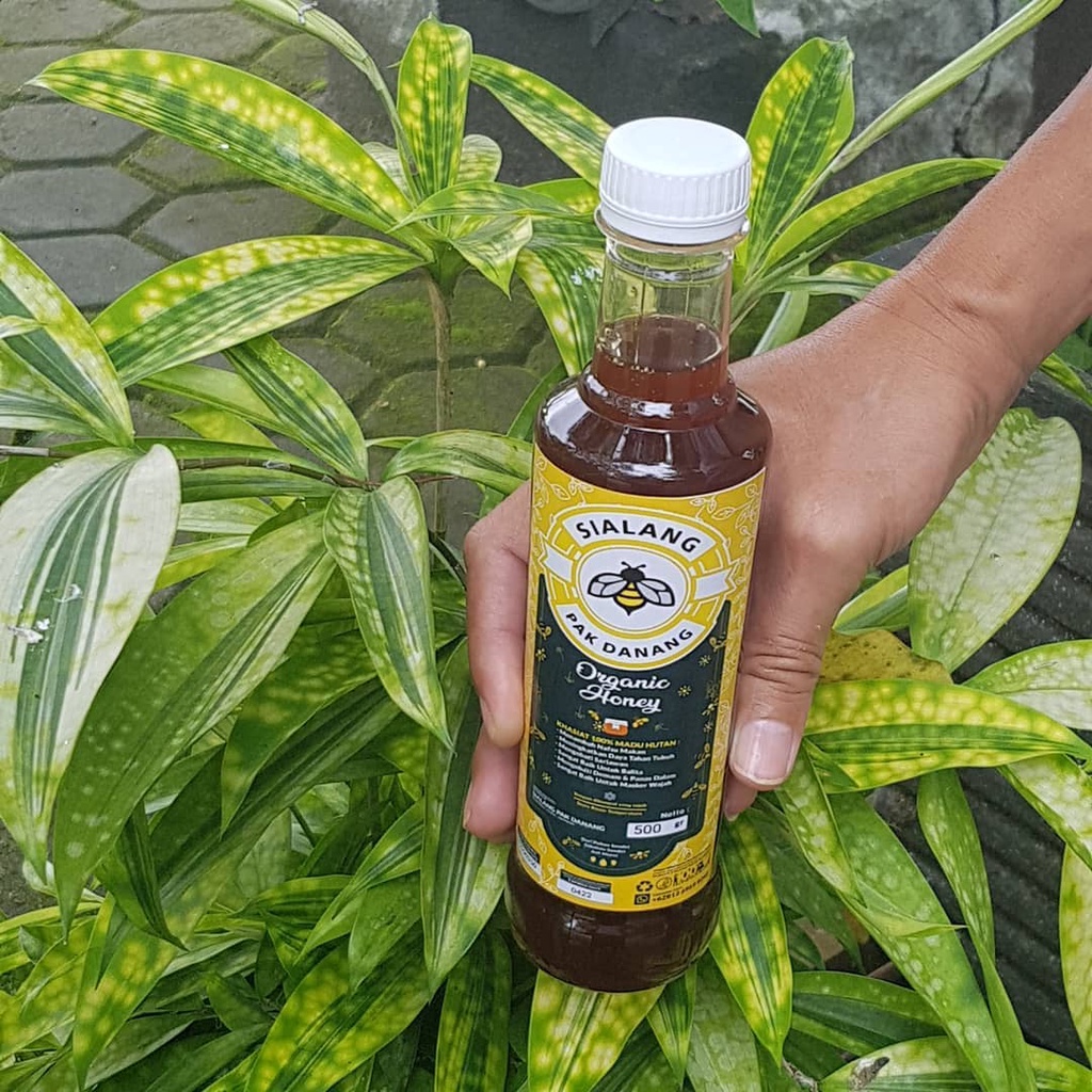 

Madu Hutan Murni - Bergaransi 100% (500 Gram)