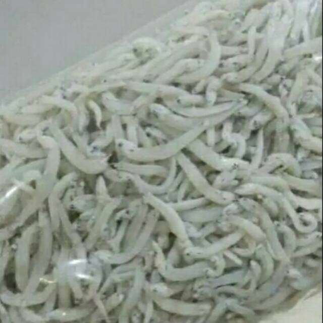 

Teri nasi Medan putih super,Grosir