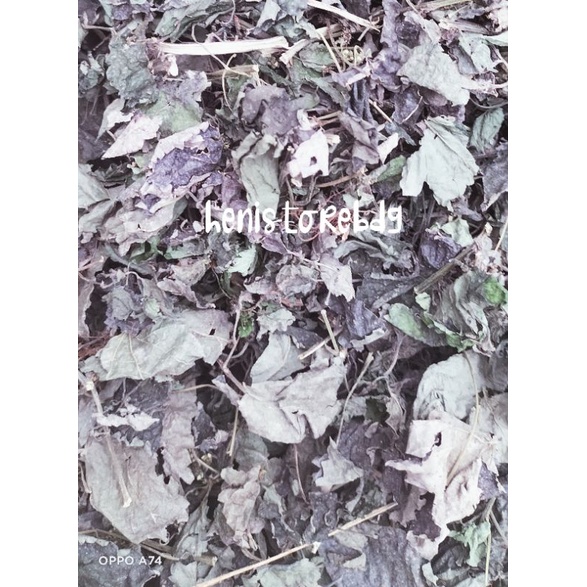 

daun jelatang/daun pulus ayam 100g