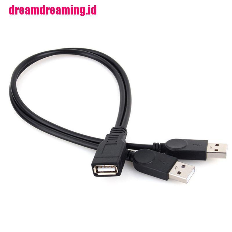 (dreamdreaming.id) Kabel Data / Charger USB 2.0 1 Female Ke 2 Male Bentuk Y