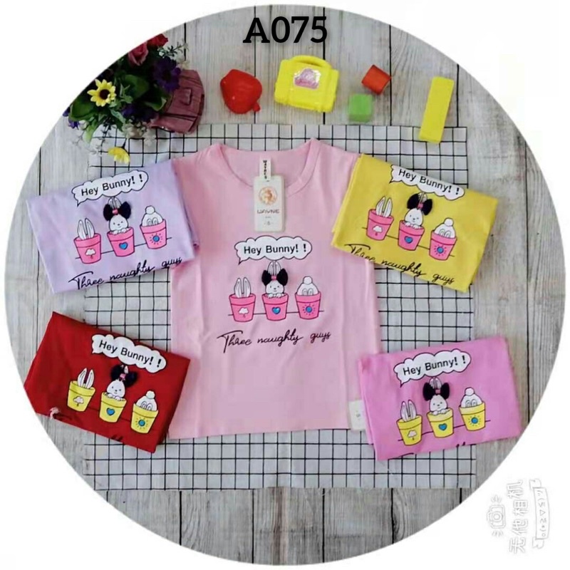 PAKET 1 LUSIN KAOS ANAK PEREMPUAN 1-5 TAHUN/KAOS ANAK PEREMPUAN IMPORT ADEM TEBALL#COD BAYAR DI TEMPAT