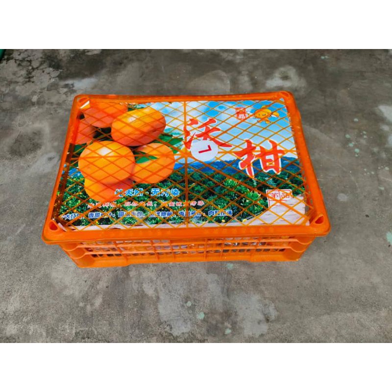 

jeruk Wogan 1 box 8 kg