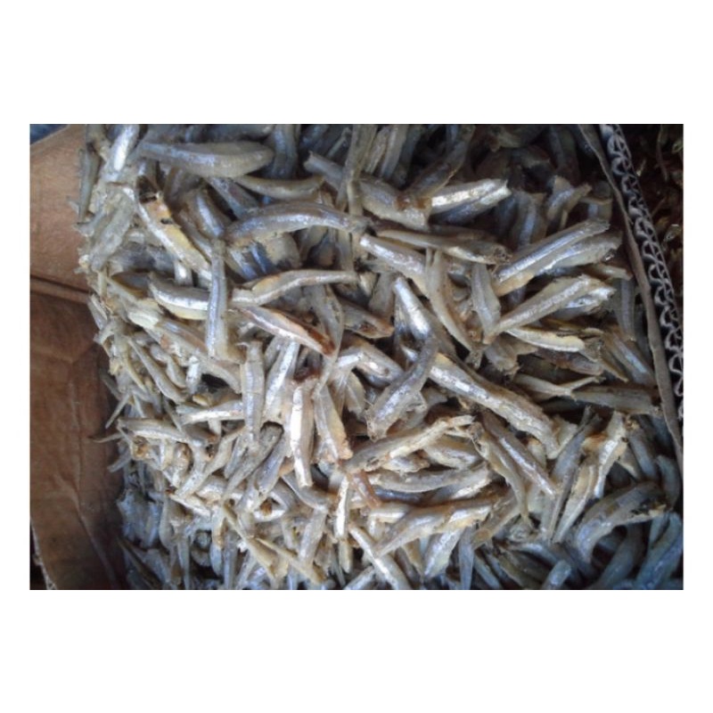 

zv teri jengki 40 g