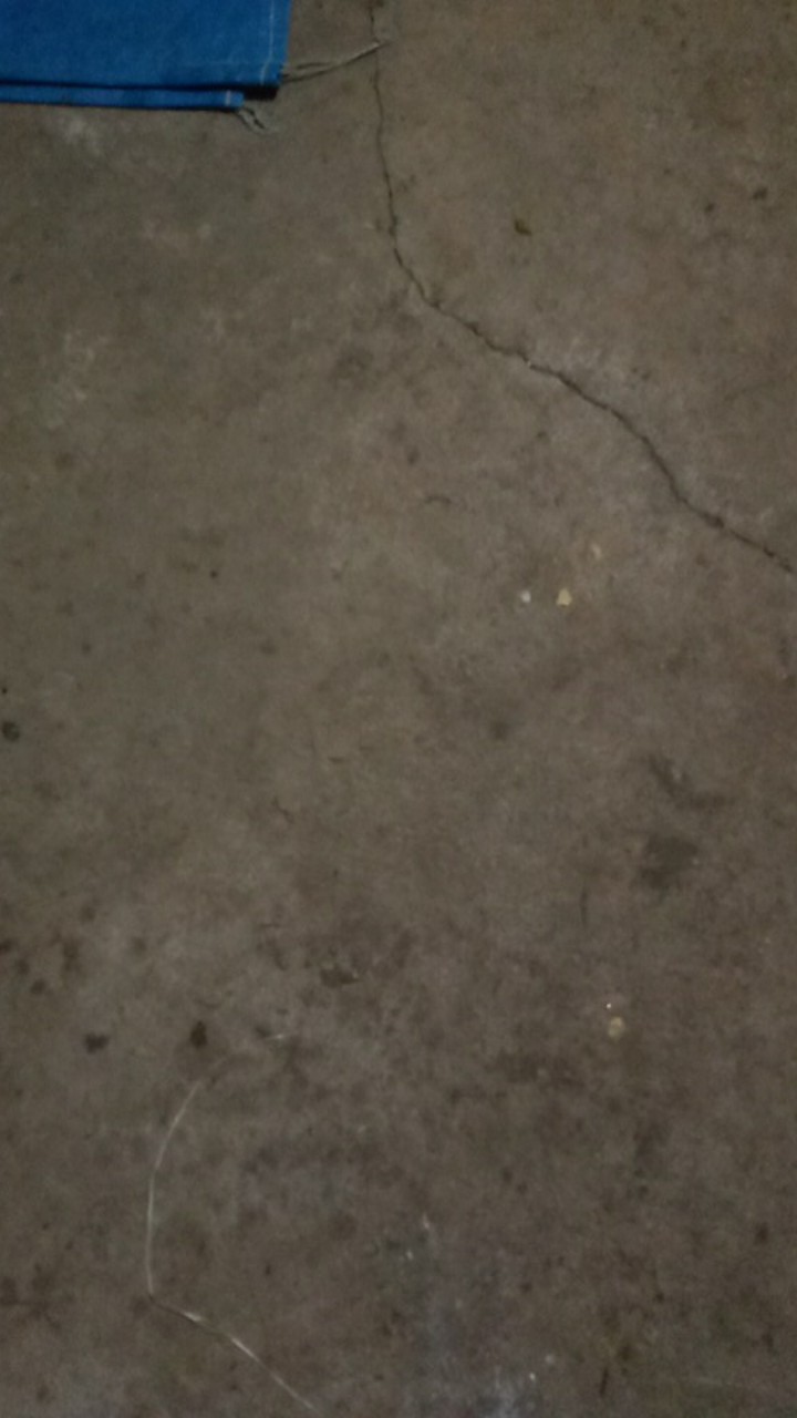 Fungisida Embun Tepung Nimrod Bupirimat 500 Ml Dr Royal Agro