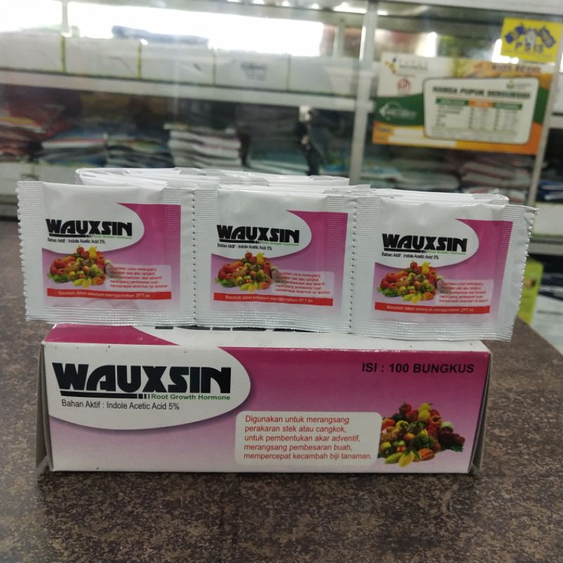 ZPT zat pengatur tumbuh hormon perangsang WAUXIN