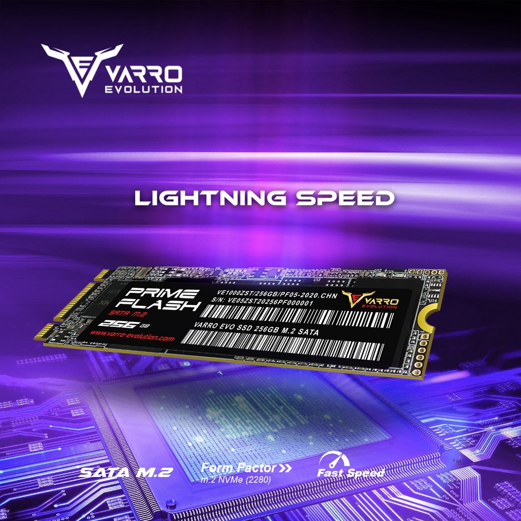 SSD VARRO EVOLUTION M2 PRIME 256GB