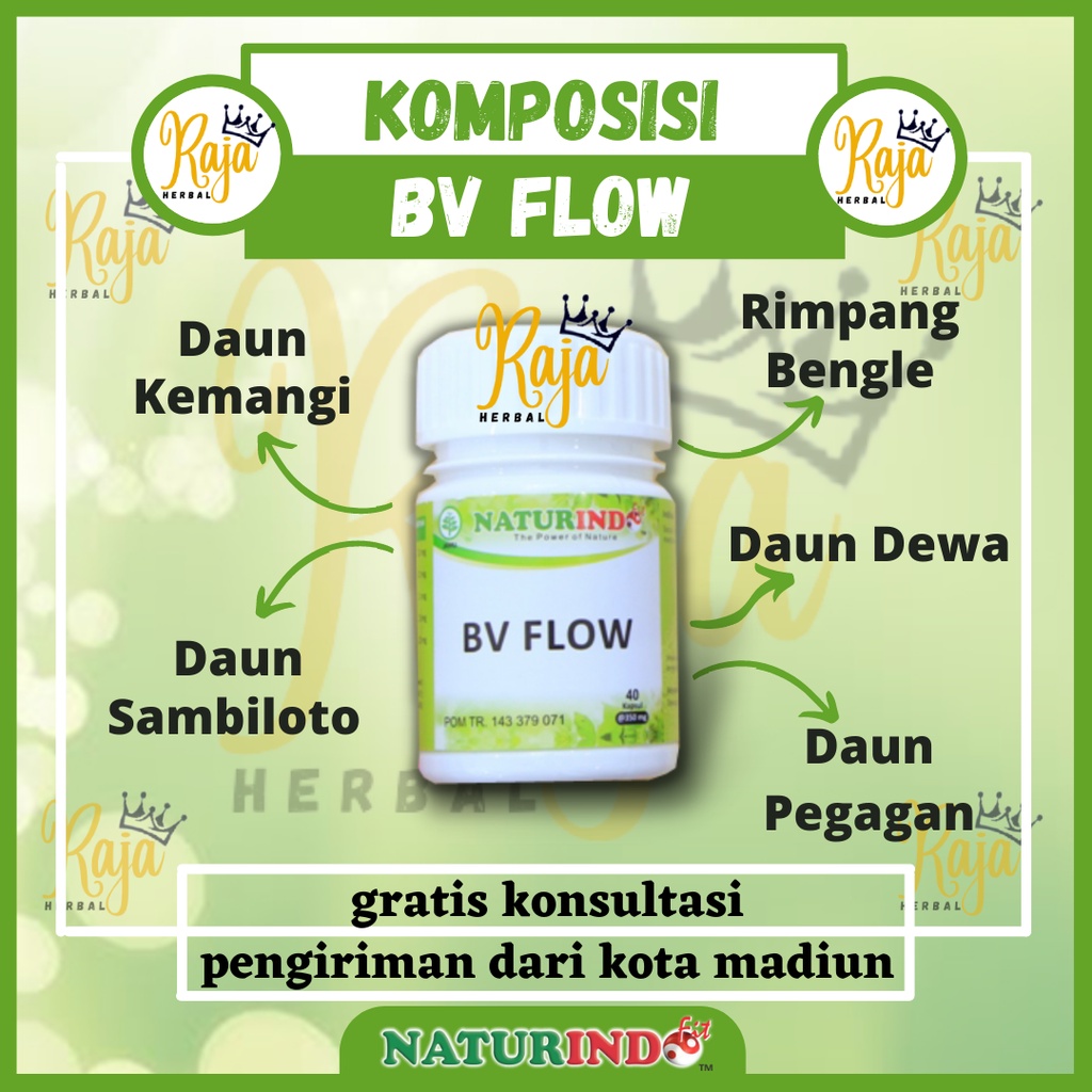BV FLOW OBAT HERBAL KRAM PEGAL LINU VARISES PENYUMBATAN PELANCAR PEREDARAN DARAH NATURINDO BPOM HALAL AMAN-2