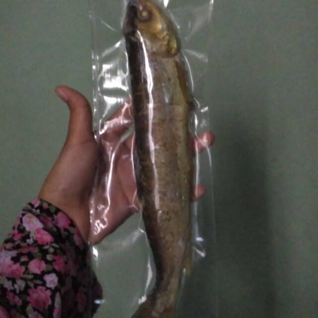 

Otak Otak Bandeng Rasa Ayam