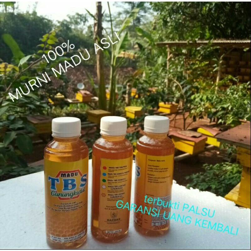 

madu TBS murni nektar bunga asli gunungkidul