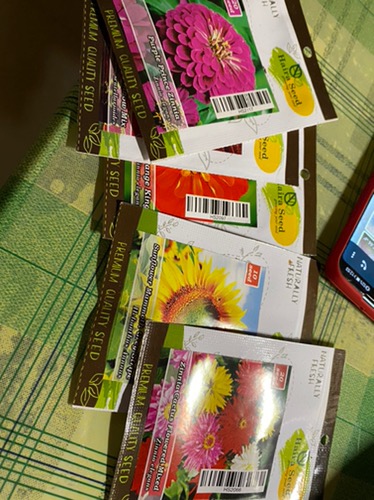 Benih-bibit Bunga Zinnia Ungu/purple Prince (haira Seed)