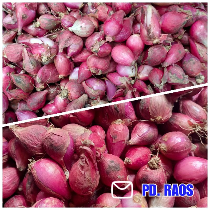 

bawang merah