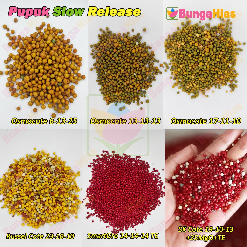 10 Gram Pupuk Dekastar Plus Osmocote Slow Release Dekastar Aglonema Philodendron Repacking