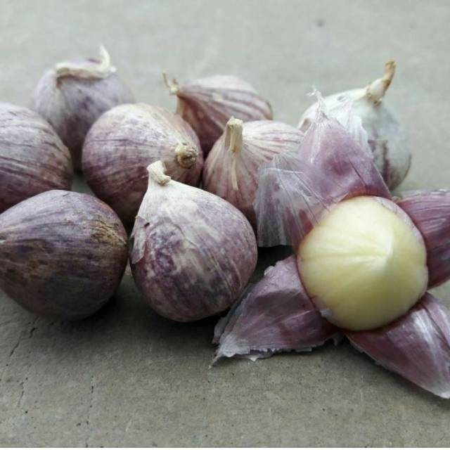 

bawang lanang