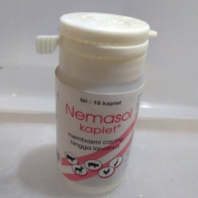 OBAT CACING TERNAK DAN UNGGAS NEMASOL