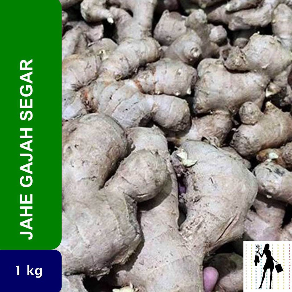 

Jahe Gajah Segar 1 kg