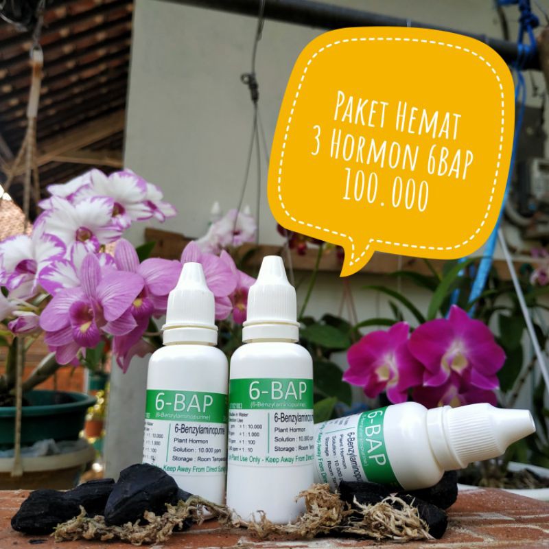 PAKET HEMAT 3 BOTOL HORMON 6 BAP Benzylaminopurine (hormon 6BAP) 6BAP Anggrek