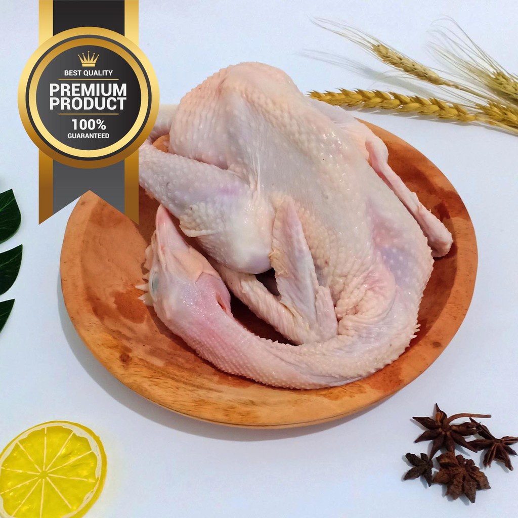 Ayam Kampung Organic Lacto Farm Utuh 700 - 800 gr (Ayam Organik Probiotik)