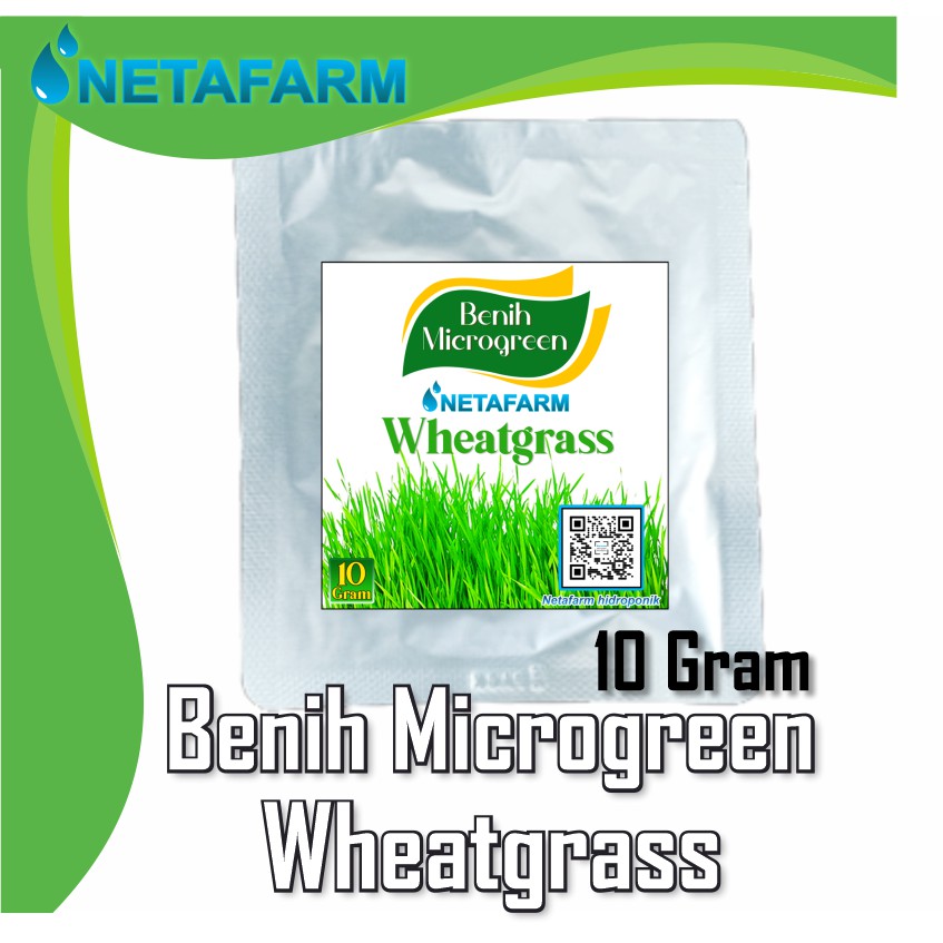 Biji / benih / bibit Micro Green Microgreen WHEATGRASS - 10 gram