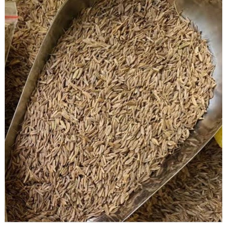 

JINTEN/JINTAN PUTIH 1Kg/JINTEN MURAH BERSIH