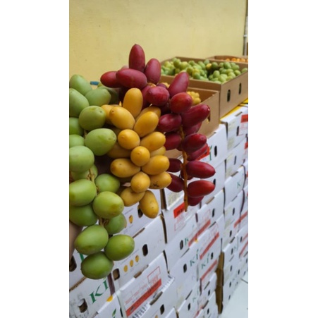 kurma muda 3 warna merah,kuning dan hijau 500grm + buah zuriat  1pcs | Po .