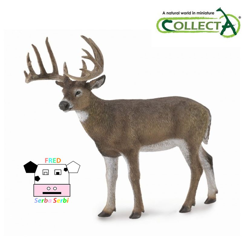CollectA - White-Tailed Deer