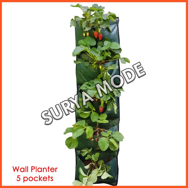 wall planter sayuran 5 Kantong pot dinding tempel