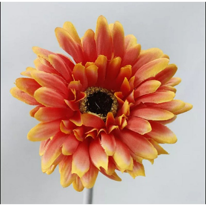 Bunga Aster Krisan Chysanthemum Artificial tangkai panjang bunga plastik mawar dekorasi rumah pesta-Orange