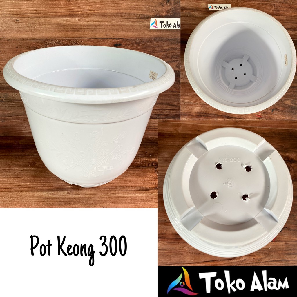 POT KEONG PUTIH POT PUTIH POT BUNGA POT TANAMAN HIAS POT TERBARU POT MURAH POT TAMAN POT ULIR