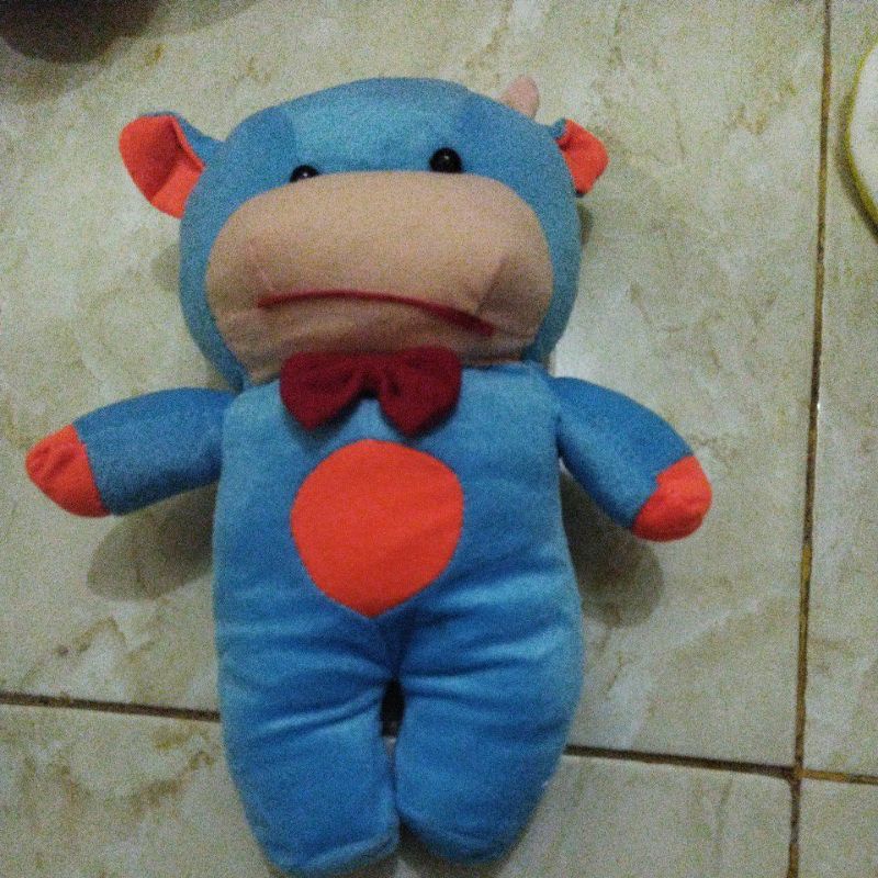 

sapi lucu