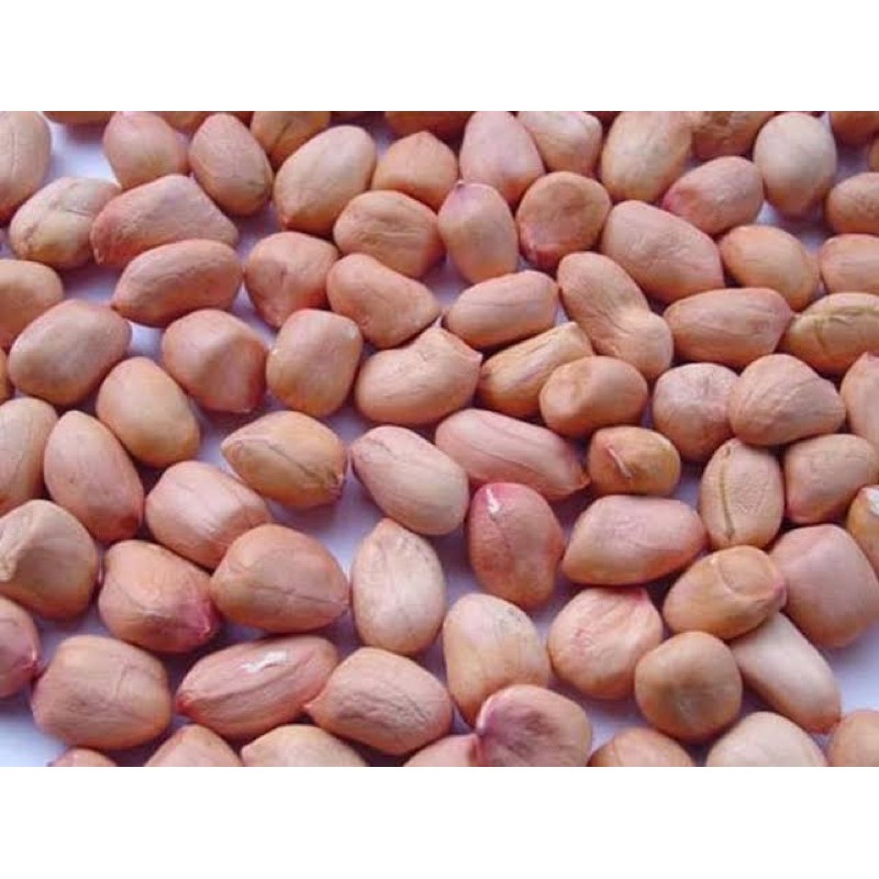 

kacang tanah tuban asli kualitas super 100gr - 500gr