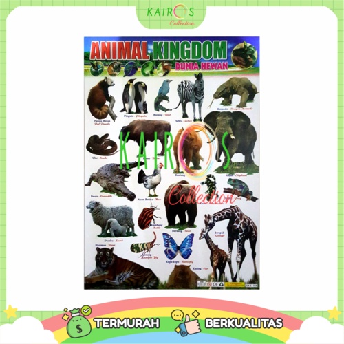 Poster Anak Edukasi Belajar Animal Binatang