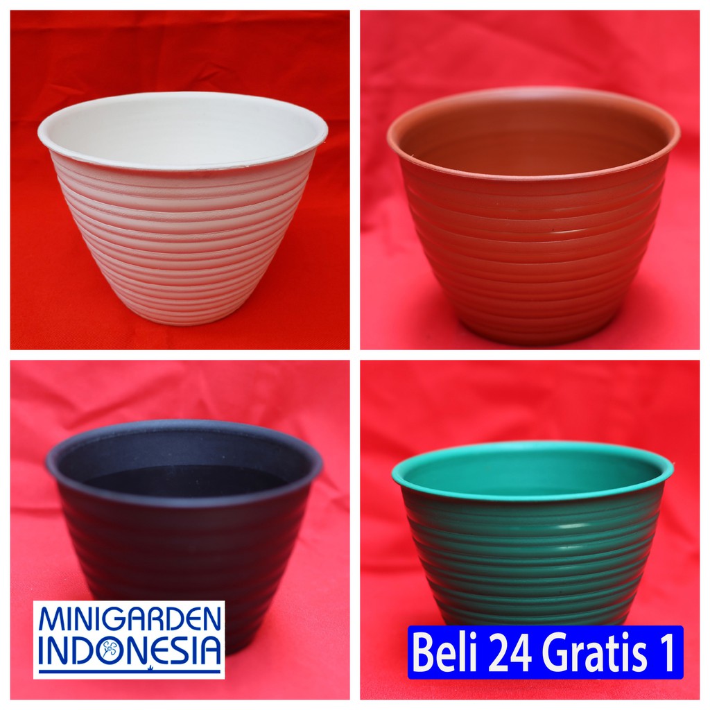 Pot BUNGA Tawon 10 cm u semai benih bibit TANAMAN bunga Pot BUNGA Tawon 10 cm u semai benih bibit TANAMAN bunga