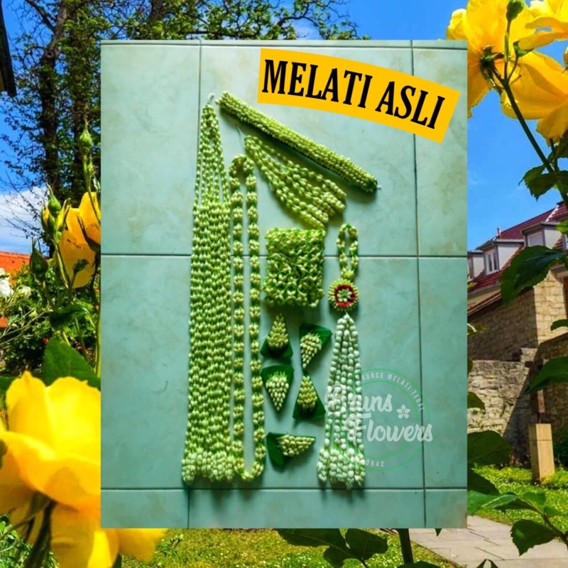 RONCE MELATI SUNDA SIGER || MELATI ASLI