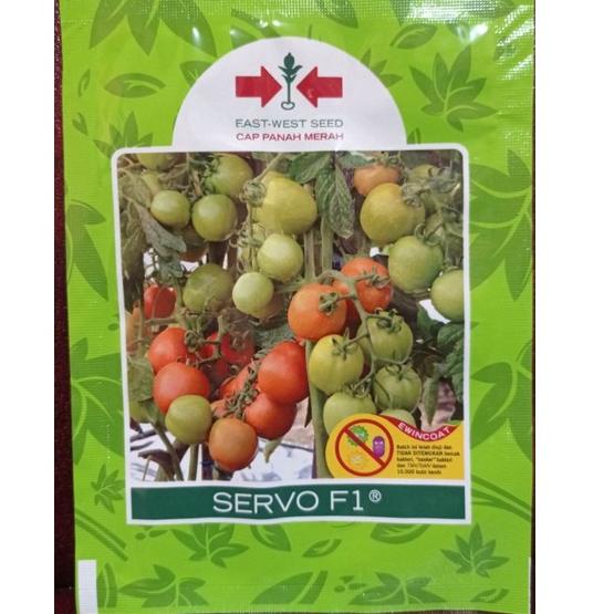 Terbaru.. Benih TOMAT SERVO F1 isi 1750 butir