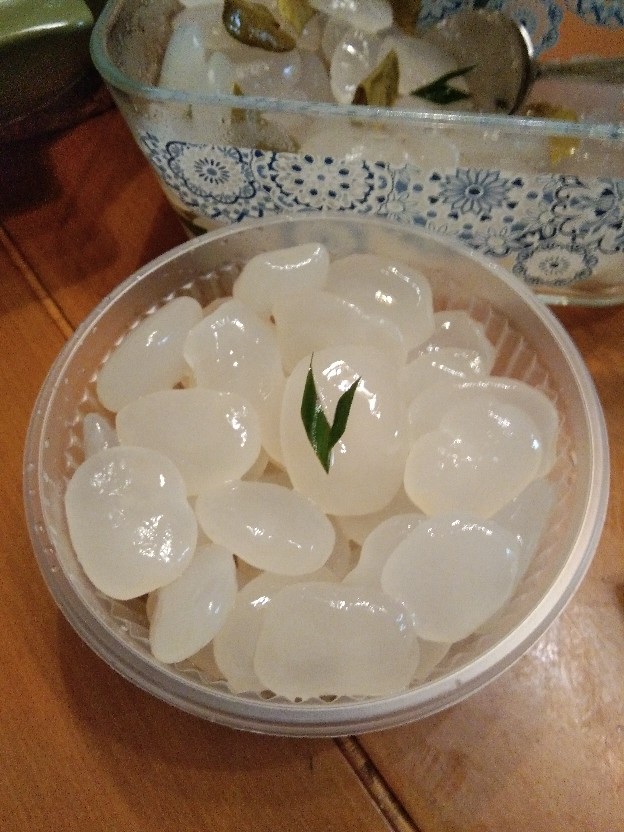 Bowl Ecorasa Ramah Lingkungan Oxium Ebl-500 (100 Pcs)